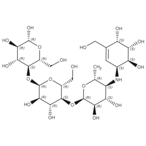 acarbose générique