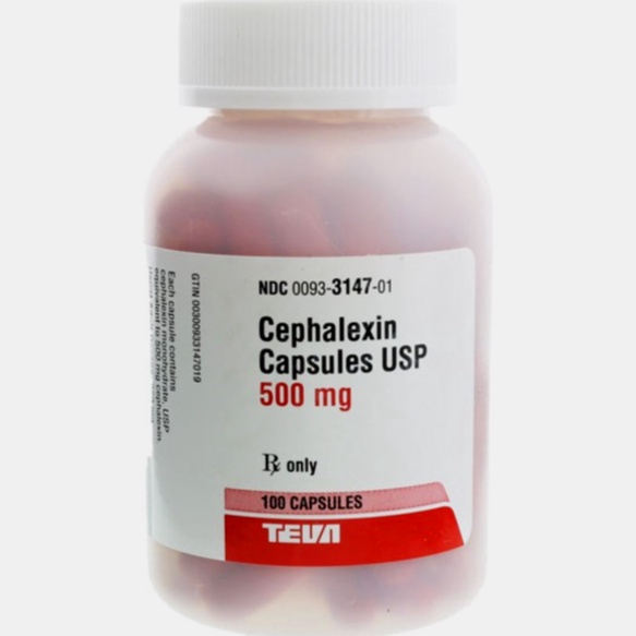 cephalexin