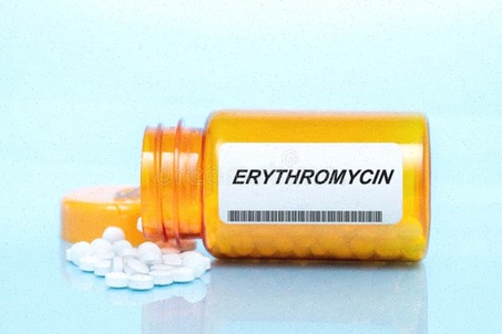 erythromycin
